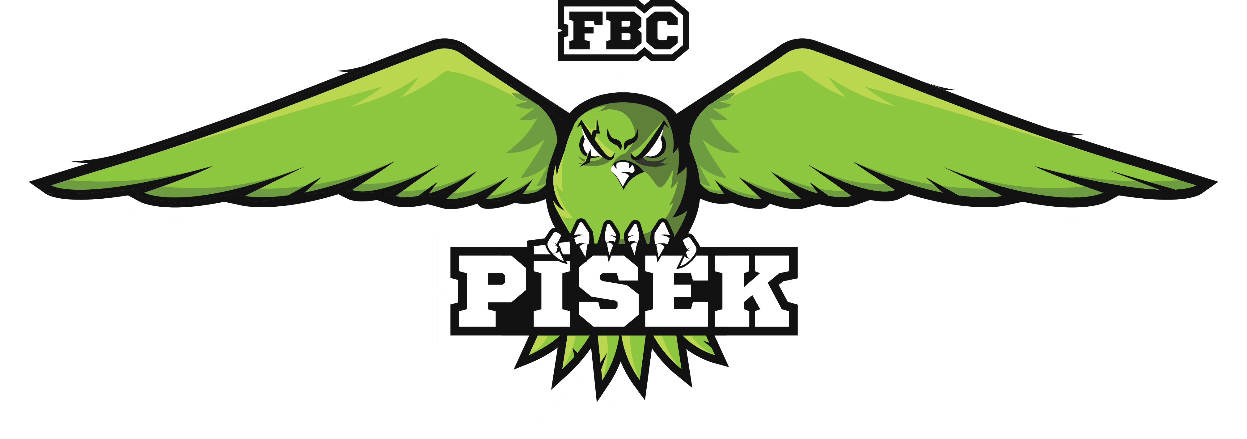 Floorball Club Písek